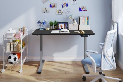 Electric Standing Desk Adjustable Height Desk Home Office Computer Workstation Sit Stand up Desk, 48 x 24 inches (Grey Frame + Black Top)