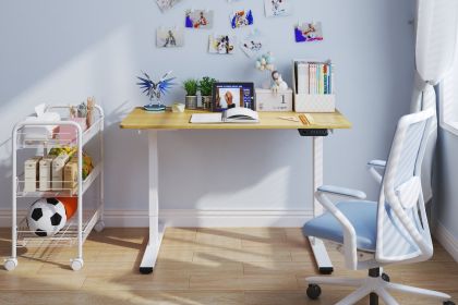 Electric Standing Desk Adjustable Height Desk Home Office Computer Workstation Sit Stand up Desk, Dual Motor, 48 x 24 inches (White frame + Maple